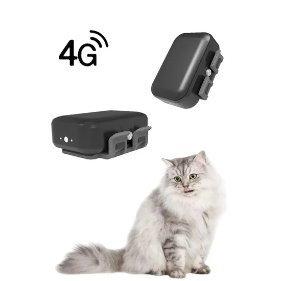 Support 4G Network Smallest Trace Playback Geo